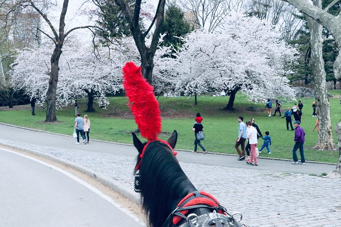 Central Park Horse Carriage Ride Short Loop (Up to 4 Adults)) - Private Means Your Pace: Who This Ride Fits Best