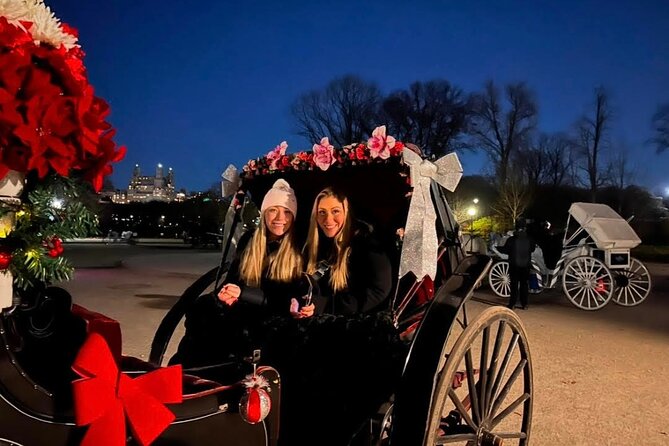 Central Park Moonlight Tour with Photo (45 min) ~ Skip the line - Key takeaways before you go