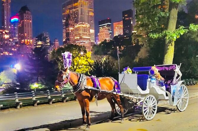 Central Park Moonlight Tour with Photo (45 min) ~ Skip the line - The photo stop: how to get shots that don’t look like a rushed selfie