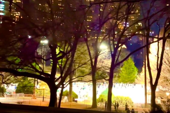 Central Park Moonlight Tour with Photo (45 min) ~ Skip the line - Horse interaction: the carrot moment that makes it feel real