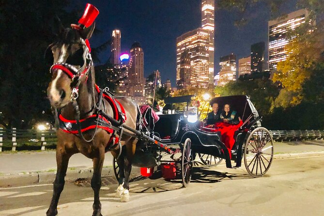 Central Park Moonlight Tour with Photo (45 min) ~ Skip the line - Who this is best for: couples, families, and first-timers to NYC