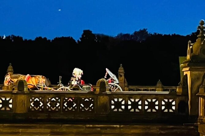 Central Park Moonlight Tour with Photo (45 min) ~ Skip the line - Price and value: what $199.99 per group really buys you