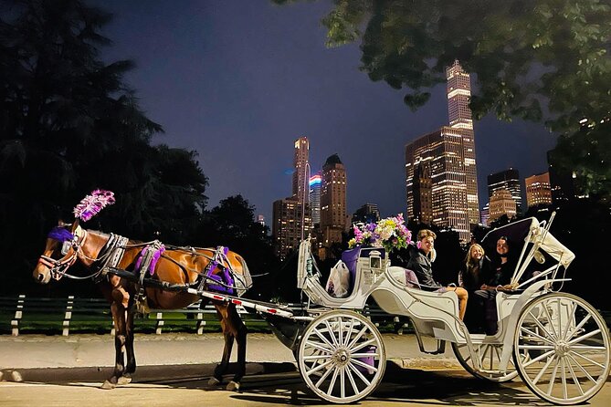 Central Park Moonlight Tour with Photo (45 min) ~ Skip the line - Where you meet Top Hat at Central Park South (and how not to lose time)