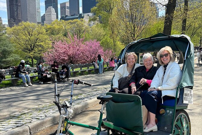 Central Park Movie Locations and Celebrity Homes Pedicab Tour - Adjacencies beyond the park: museums, millionaires, and iconic buildings you can spot from here