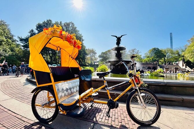 Central Park Movie Locations Pedicab Tour - Passing the Central Park Zoo and the ice rink scenes