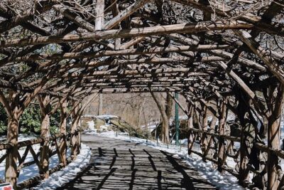 Central Park New York - Exclusive Guided Walking Tour - Value Check: Is About $52 Worth 2.5 Hours?