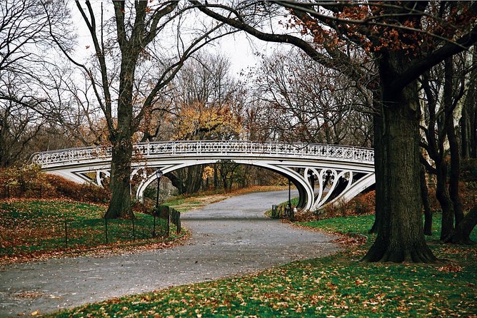 Central Park New York Guided Walking Tour Semi-Private 12ppl Max - Price and value: is $51.94 worth it for a 2.5-hour walk?