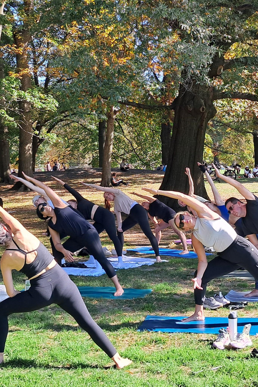 Central Park, New York: Yoga Classes in the park since 2012 - How the 1-Hour Class Works: Breath-Led Flows With Options