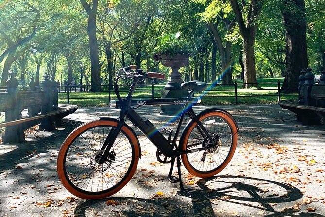 Central Park NYC Electric Bike Rental - Peace of Mind vs. Peak-Day Reality: What the Reviews Teach