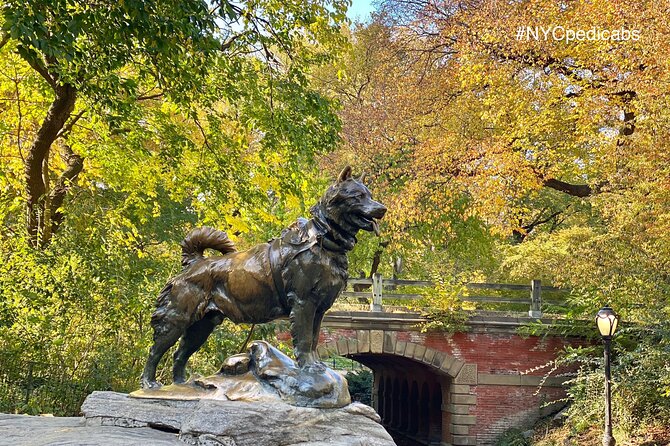 Central Park Pedicab Rickshaw Tours - Stops that may cost extra: Shakespeare Garden and Alice in Wonderland