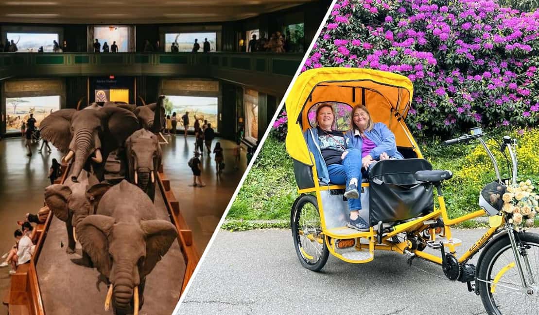 Central Park Pedicab Tour + Optional Natural History Tickets - Meeting at Petrossian on West 58th and 7th