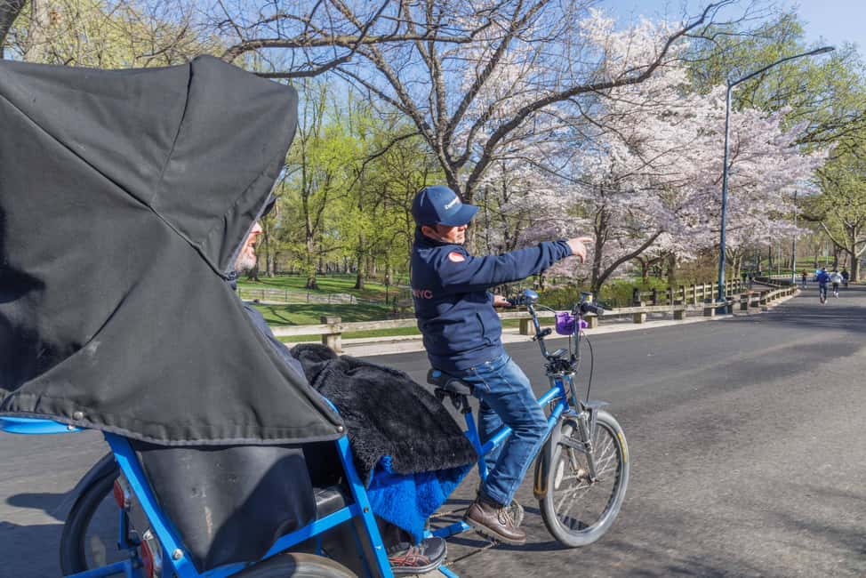 Central Park Pedicab Tour + Optional Natural History Tickets - The 1-Hour Tour Rhythm: Photo Stops and Storytelling