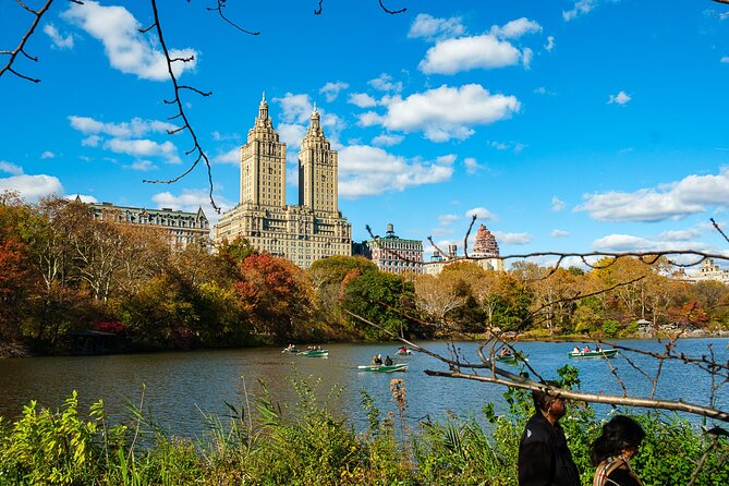 Central Park Pedicab Tour / Photo Stops - Carousel and Chess & Checkers House: Real Old-School New York Fun