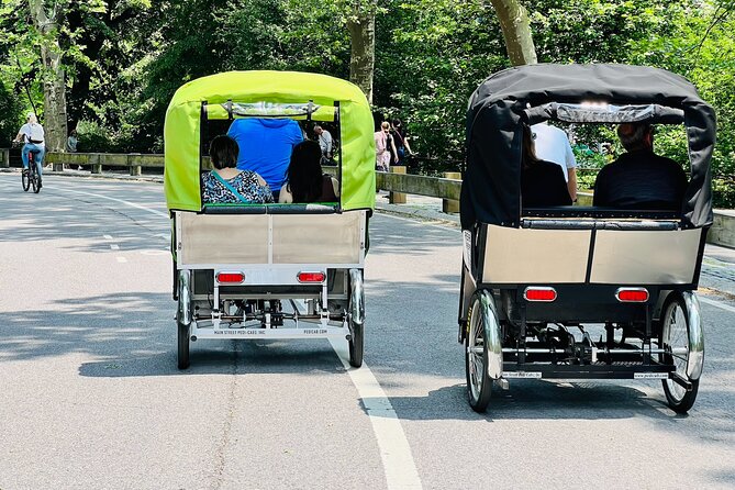 Central Park Pedicab Tour ( starting - Natural History Museum ) - When to go: blankets, timing, and comfort choices