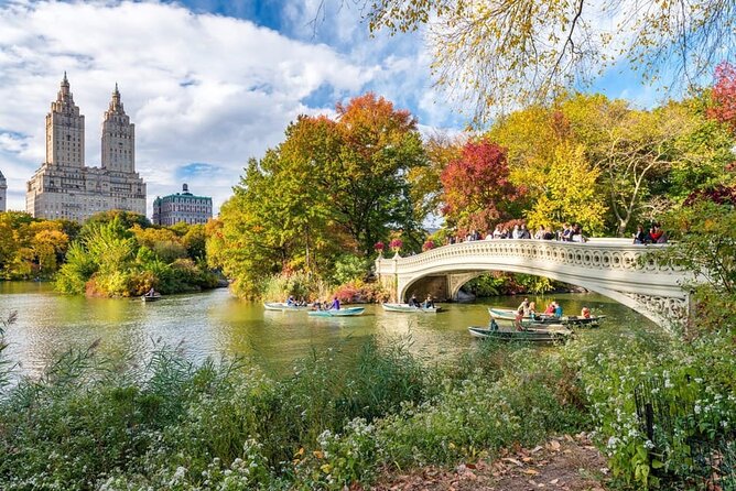 Central Park Pedicab Tour with local Guide - Gapstow Bridge and Bow Bridge: when the skyline looks like it belongs in a movie