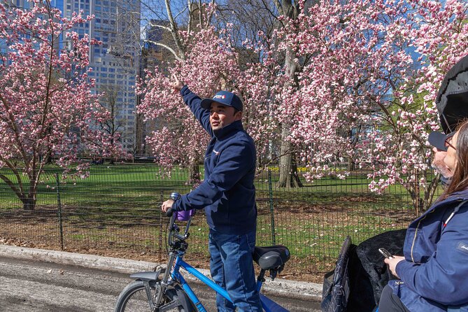 Central Park Pedicab Tour with Natural History Museum Access - Why a Central Park pedicab tour fits a tight schedule