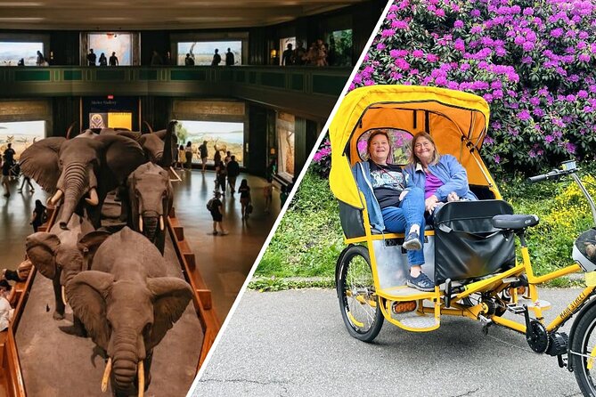 Central Park Pedicab Tour with Natural History Museum Access - The ride through Central Park: Carousel, Wollman Rink, Zoo, and big-screen cues