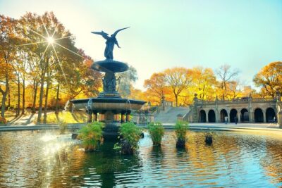 Central Park Pedicab Tours - Stop-by-stop: the Central Park highlights route you can actually finish