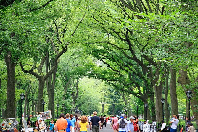 Central Park Photography Tour with Local Photographer - Stop 2: Bethesda Fountain for Scale, Symmetry, and Mood