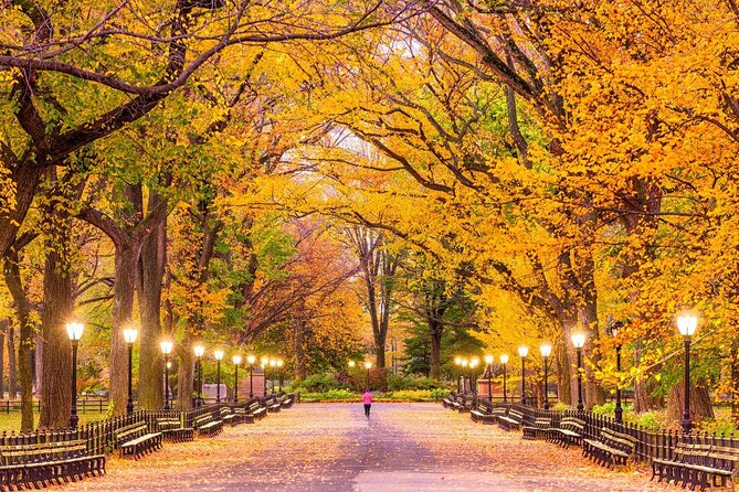 Central Park Picnic with Full Day Bike Rental - Key Highlights You’ll Care About