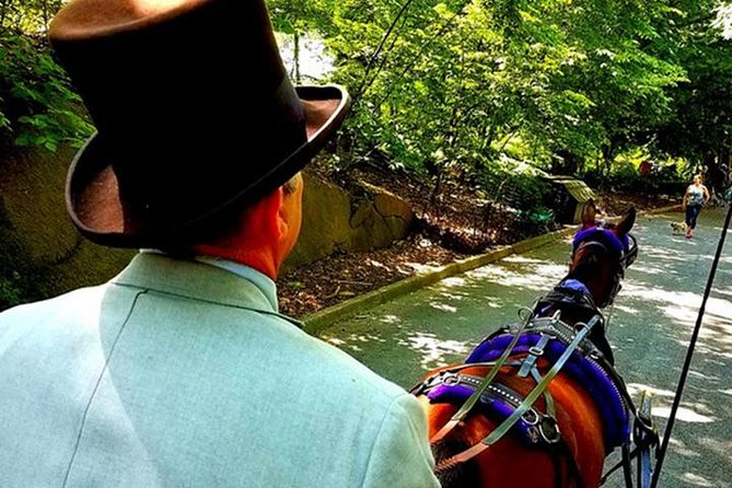Central Park Private Horse and Carriage Tour - Where the tour starts on 5th Avenue and W 59th