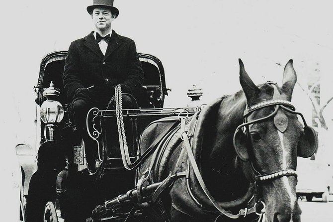 Central Park Private Horse and Carriage Tour - Price and value: why private can still be worth it