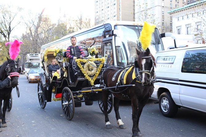 Central Park Private Horse Carriage Tour in NYC - Key takeaways before you go