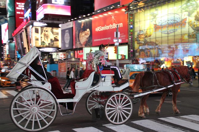 Central Park Private Horse Carriage Tour in NYC - Why a 45-Minute Carriage Route Works in Central Park