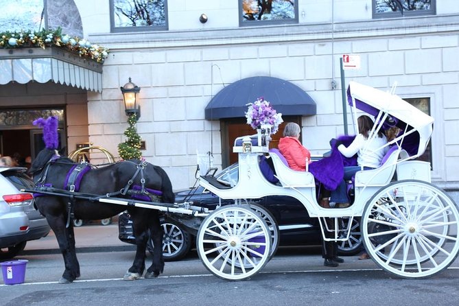 Central Park Private Horse Carriage Tour in NYC - The Mid-Park Story: Literary Walk, Summer Stage, and Loeb Boathouse
