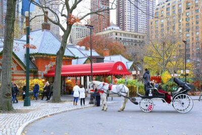 Central Park Private Horse Carriage Tour in NYC - What You’ll See on the East Side, from Jose Julian Martin to the Zoo