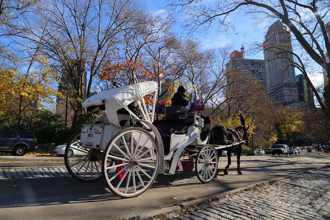 Central Park Private Horse Carriage Tour in NYC - Bridges, Bow Bridge to Strawberry Fields: the Scenery-Led Part of the Ride