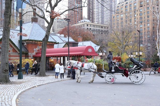 Central Park Private Horse Carriage Tour in NYC - Guide and Group Dynamic: What a Private Ride Changes