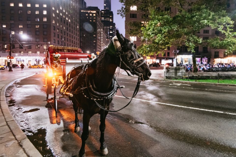 Central Park, Rockefeller & Times Carriage Ride (4 Adults) - Who this ride is for (and who should skip it)
