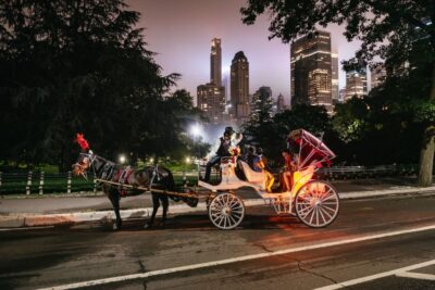 Central Park, Rockefeller & Times Carriage Ride (4 Adults) - Central Park under the sparkling skyline