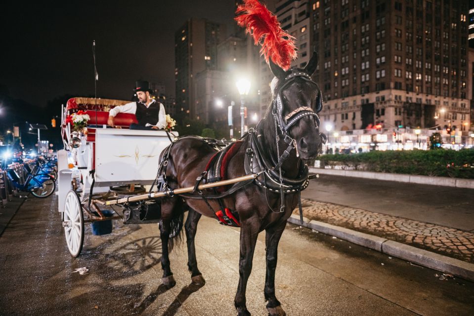 Central Park, Rockefeller & Times Carriage Ride (4 Adults) - Rockefeller area to Times Square: light shows with a calmer viewpoint