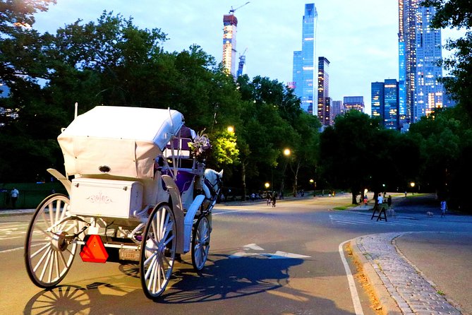 Central Park & Rockefeller Tour (4 Adults) - Who this tour suits best (and who might want a different plan)