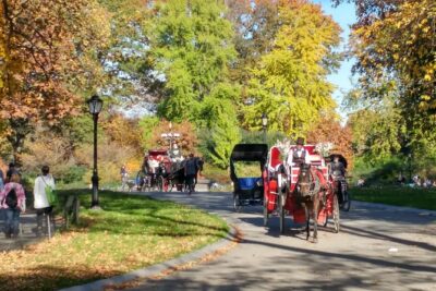 Central Park: Scandal & Vice Walking Tour - From The Arsenal to the Zoo: conflict at the park’s starting line