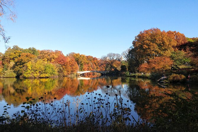 Central Park: Scandal & Vice Walking Tour - Rumsey Playfield and Sheep Meadow: design fights, Depression-era pressure, protest