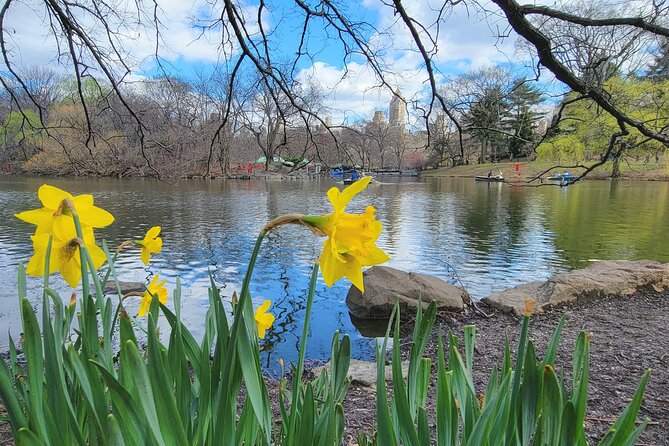 Central Park Secrets And Highlights - Central Park South, Made Legible (and Actually Fun)