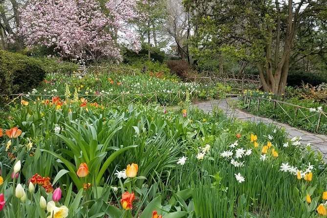 Central Park Secrets And Highlights - What You’ll Actually See: Film-Famous Spots and Central Park “Secrets”