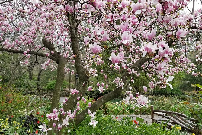 Central Park Secrets And Highlights - Arch Bridges and Rocky Nooks: The Route That Prevents Wander-Confusion