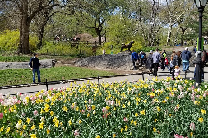 Central Park Secrets And Highlights - Price and Value: $42 for a Licensed Guide (Not Just Green Space)