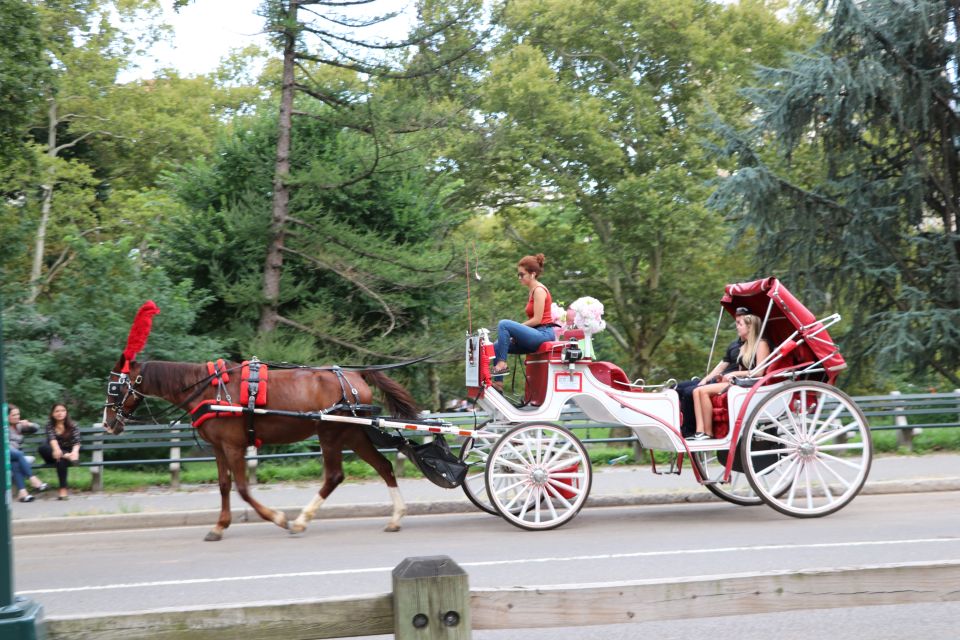 Central Park: Short Horse Carriage Ride (Up to 4 Adults) - Should you book Central Park short horse carriage rides?