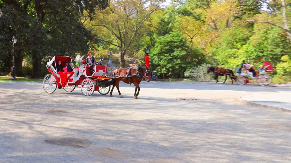 Central Park: Short Horse Carriage Ride (Up to 4 Adults) - Photo stops that feel planned, not accidental