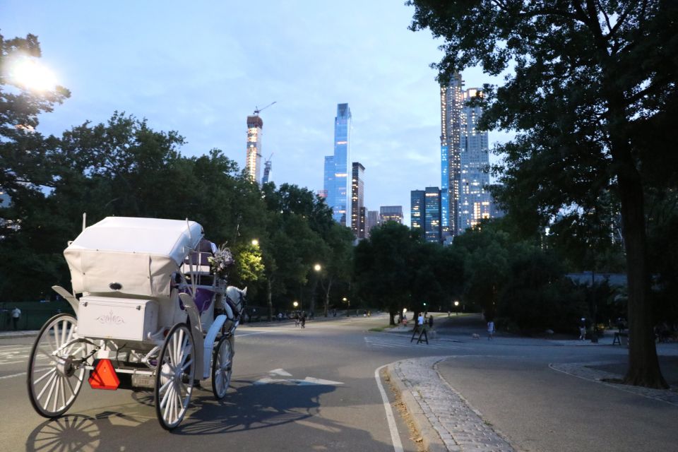 Central Park: Short Horse Carriage Ride (Up to 4 Adults) - What’s included that actually helps (roof, blankets, horse treats)