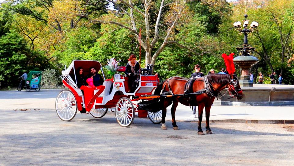 Central Park: Short Horse Carriage Ride (Up to 4 Adults) - The biggest practical considerations before you book