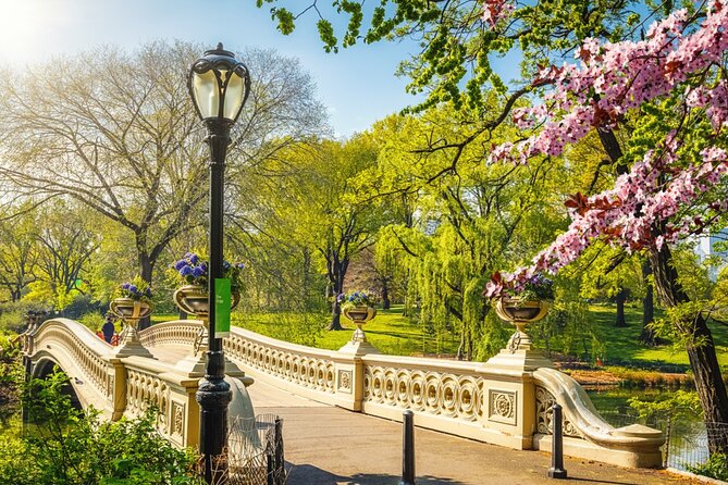 Central Park Stolen Archives: NY Exploration Game and Tour - The itinerary, stop by stop: from Pulitzer Fountain to the Museum finish