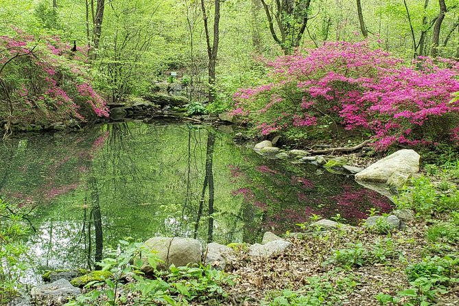 Central Park Walking Tour - Who This Tour Fits Best (and Who Might Want Something Different)
