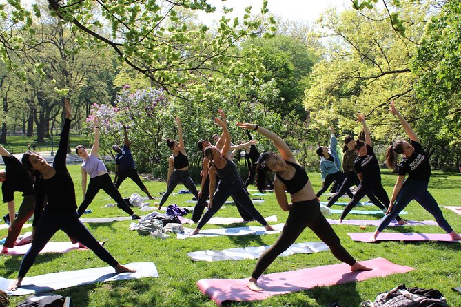 Central Park Yoga Class with a View in the Heart of New York City - Logistics that matter once you arrive