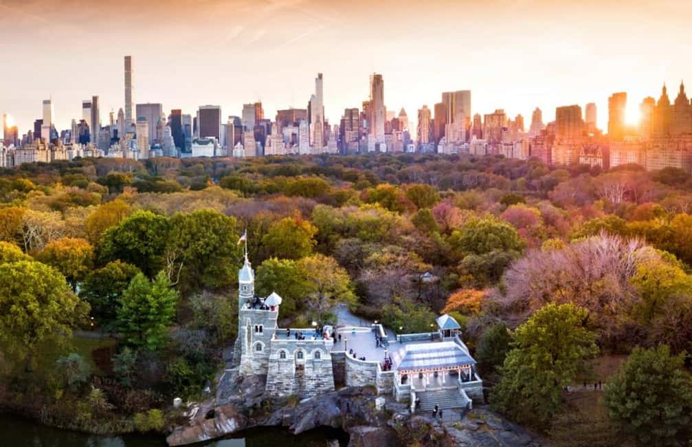 Christmas in Central Park: Horse Carriage Holiday Tour - Why a horse carriage ride feels extra right for Central Park Christmas